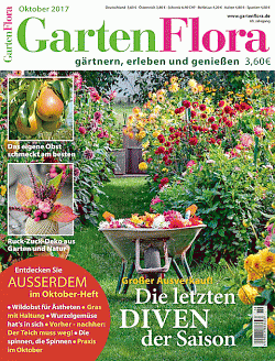 cover vom Magazin
